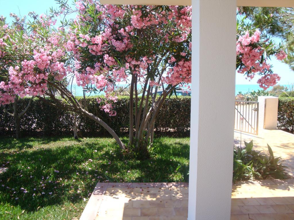 Cala Vigliena Il Sole Negli Occhi Villa Punta Braccetto Rum bild