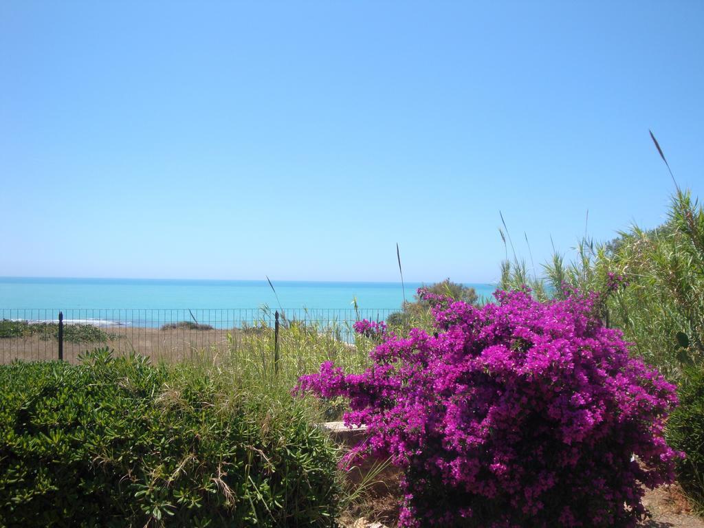 Cala Vigliena Il Sole Negli Occhi Villa Punta Braccetto Rum bild